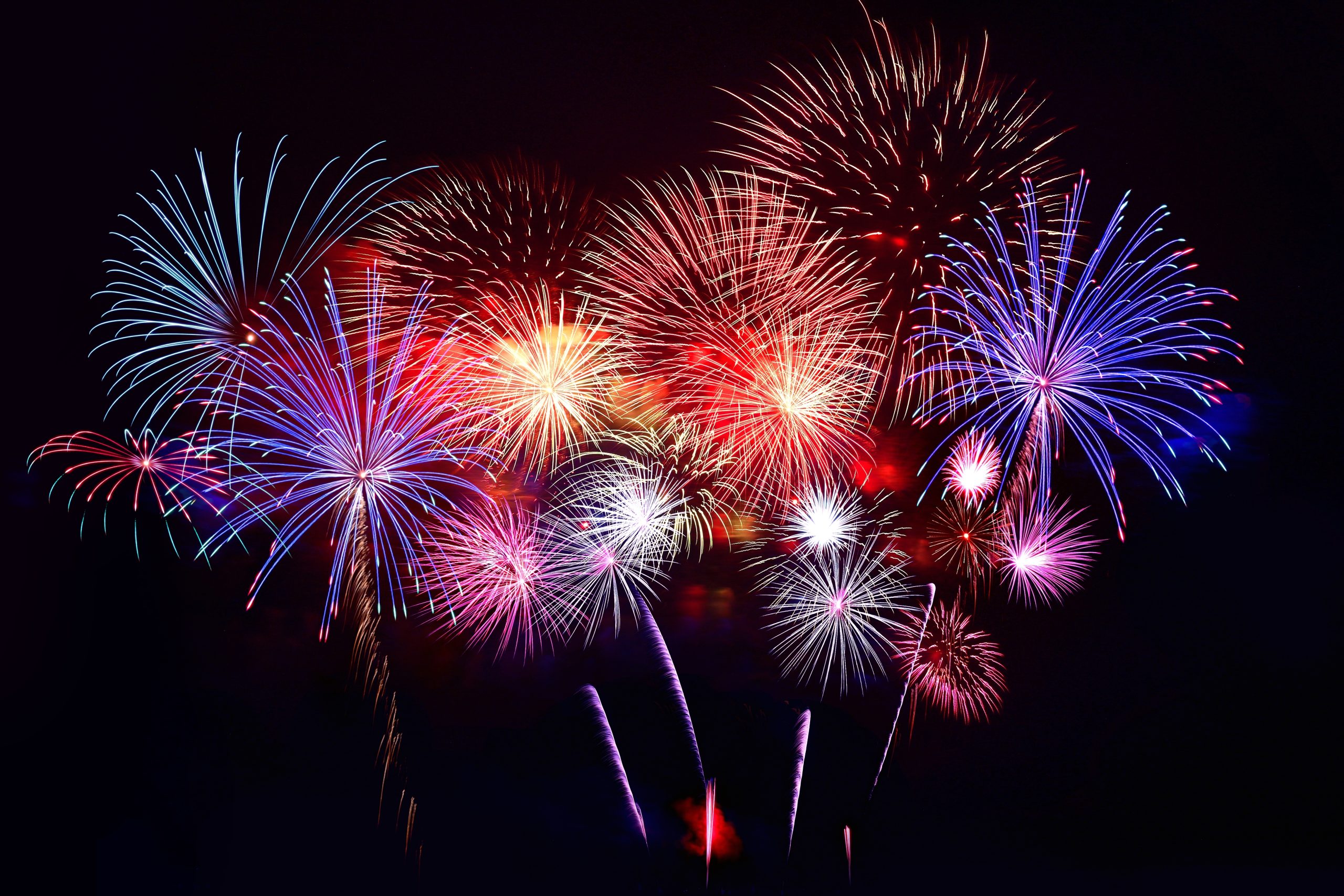 Colorful fireworks burst against a dark night sky, displaying vibrant red, blue, purple, and white patterns in various shapes, creating a festive and celebratory atmosphere.